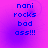 Pixelated blue text on a purple-to-pink gradient background reads 'nani rocks bad ass!!!' in four identical quadrants.