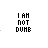 Pixelated text "I AM NOT DUKE" with pink dotted lines and small hearts on white background, transitioning to "I JUST HAVE ALOT OF USELESS INFORMATION" in same style.