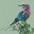 Animated bird perched on a branch with green background text reading 'Original Icons .com' in pixelated font.