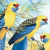 Pixelated image of two yellow birds with blue wings and red beaks perched on branches against a light blue sky background.