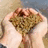 A pixelated image of hands holding sand with text reading "sometimes that mountain you been climbing is just a grain of sand" on pink background.