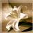 A 48x48 pixel animated buddy icon featuring a white stick figure in motion on the left and green text reading "Original Icons .com" on the right, displayed as a contact sheet with two frames showing sequential animation.