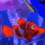 A 2x2 contact sheet of three animated frames showing a cartoon clownfish character in various poses against underwater backgrounds with blue and purple hues.