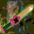 A pixelated static image with a dark green background featuring abstract shapes in pink, beige, and teal tones.
