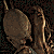 Animated sequence showing a figure with long hair holding a glowing object, transitioning from dark to light background.