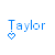 Blue text 'Taylor' with a pixelated heart icon below it, displayed in three of two icons each on white background