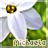 Pixelated icon shows a figure in white clothing with green foliage and a golden circular object against light background.