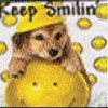 A pixelated dog wearing a yellow hard hat sits atop a large yellow smiley face with small black eyes, surrounded by scattered yellow coins on a white background with "Keep Smilin" text.