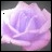 A pixelated static image of a light purple and pink rose with soft gradients, set against a dark gray background featuring a small black square in the top-left corner.