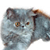 Pixelated close-up of a gray cat with brown eyes and a brown nose, facing forward with a neutral expression against a white background.