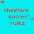 A static image with a bright cyan background displays repeated red text reading "cheshire soccer rulez" in three lines, surrounded by scattered small stars.