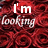 Red rose background with white and blue text blocks displaying 'I'm still looking for a Guy. Whos NOT an ass' in pixelated fonts.