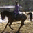 A pixelated image shows a figure on horseback against a textured background, with purple text reading "Primadonn & Me!" on the right.