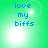 Green background with blue text 'love my biffs' and shifting white light effects across four