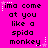 A bright pink background displays repeated black pixelated text reading 'ima come at you like a spida monkey' with white star and dot accents, arranged in three of three identical units