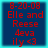 Four identical blue square with red text displaying '8-20-08 Elle and Reese 4eva ily <3' on a cyan border