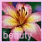 A 48x48 pixel buddy icon featuring a pink and yellow flower with the word 'beauty' in white text at the bottom, displayed as two identical frames side-by-side on a light pink background.