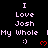Pixelated text reads "I Love Josh My Whole :)" with a red heart symbol, repeated across a black background in a pattern