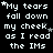 Pixelated text repeats 'My tears fall down my cheek as I read the IMs' with scattered stars on black background, some letters partially obscured.