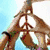 Animated icon shows a cartoon character with brown hair and blue eyes holding a peace sign, then transitioning to a collage of colorful letters spelling 'LOVE' and 'PEACE'.
