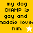 Yellow and white pixelated text displays 'my dog CHAMP is gay and naddie loves him.' with a star symbol.