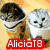 Six display identical cartoon animals with changing text backgrounds; the top-left shows two cats in cups, top-right two owls and penguins, bottom-left two birds, bottom-right a cat on piano keys