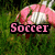A four- shows a pink and white soccer ball on green grass with text appearing sequentially