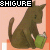 A static image of a brown cat sitting and holding a green object, with 'SHIQUE' text above it on an orange background.