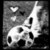 Black-and-white animated icon with soccer ball and player silhouette, text 'LOVE SOCCER' appears in second frame.