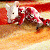 A 50x50 pixel animated contact sheet showing two frames of a Stuart Little 2 character on the left and green text "Original Icons .com" on the right against a dark background.