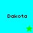 Four display "Dakota" text with a green star and blue star icon on cyan and green backgrounds