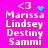 Pixelated text list on bright pink background with animated heart and star effects above 'Marissa Lindsey Destiny Sammi'