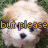 Two pixelated dogs with light brown and white fur stand side-by-side on green grass, one displaying orange text over its face.