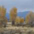 Pixelated landscape with autumn trees, blue sky, and ground, rendered in low-resolution style with visible pixelation.