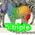 Rainbow-colored horse with zebra stripes stands against a background of black-and-white zebras, with text overlays changing across frames.