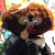 Pixelated image of a figure with brown hair, dark clothing, and a red mouth detail against a bright, multicolored background.