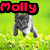 Pixelated dog-like creature in mid-air pose on green grass background with red 'Molly' text on left and blue 'Rox!!!' text on right.