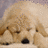 A static image divided into four quadrants: top-left shows a pixelated dog, top-right has text on pink background, bottom-left displays an emoticon, and bottom-right is solid gray.