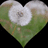 Heart-shaped icon with green leafy border and white center containing a small gray cross-like symbol.
