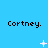 Pixelated blue background with repeated black text 'Cortney.' and white star-like shapes in a pattern