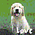 Pixelated image of a white dog with light brown patches sitting against a green background, displaying the word 'LOVE' in large white letters at the bottom.