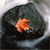 A static pixelated image shows a dark rounded shape with a small orange-brown leaf-like object on its surface against a light gray background.