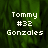 Pixelated text displays 'Tommy #32 Gonzales' over a green textured background with a gray rectangular overlay on the right side.