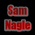 A four-quadrant image with text elements: 'Sam Nagle' in red on black, 'Is' in red and black on gray, 'DAMN SEXY!' in white on red.