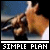 Animated contact sheet of a person singing into a microphone with "SIMPLE PLAN" text below each frame, showing motion blur and pixelation across 7 sampled frames arranged in a 3x3 grid.