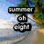 Six beach-themed display text overlays: 'summer oh eight', 'is gonna b so...', 'GREAT', 'I CANT WAIT!', palm trees, and a heart drawn in sand