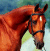 Static pixelated image of a horse's head and neck in profile against a blurred background with blue, green, and white tones.
