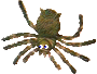 Four spider-shaped icons with green-brown bodies and blue eyes arranged in a on gray background