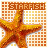iconhell_sparkle_fire_starfish