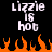 Pixelated text reads 'Lizzie is hot' above orange flames on black background, with identical static frames side-by-side.